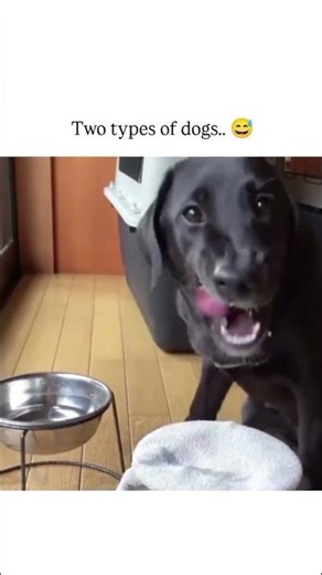 Did bro even drink any water or just fill his mouth for max effect 😂