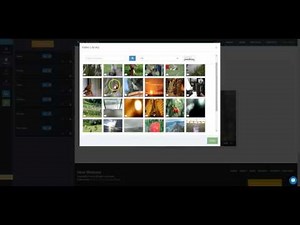 SITE123 - How to add a single video to your website