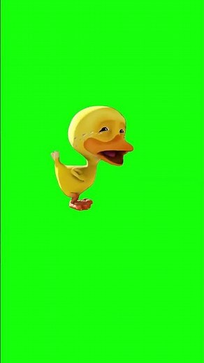 Crying Duck Meme | Green Screen