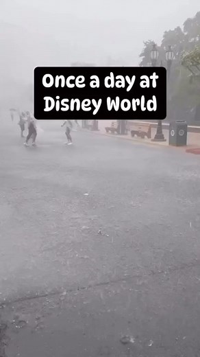 Have you ever been caught in a rain storm at Disney? ☔️🌧️via @loveparktrends | Days Gone Disney