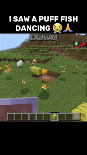 I SAW A PUFF FISH DANCING IN MINECRAFT 😭🙏
