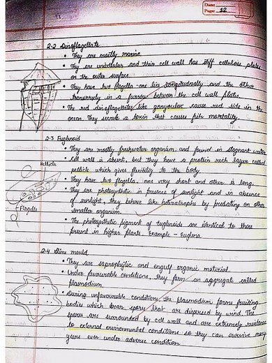 Biological Classification | Chapter 2 | Biology | Class 11 | Handwritten Notes