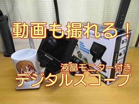 【レビュー】動画も撮れる！激安デジタル顕微鏡