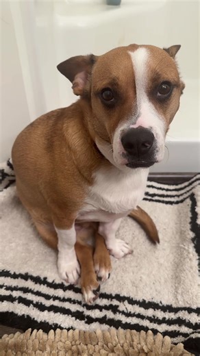 Why I Always Post Franks in This Position