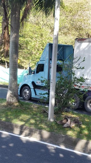 Tractomulas #truck #trailer #kenworth #tractomulas #camion #carretera #shorts #reels