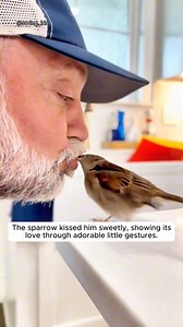 18K views · 519 reactions | Grandpa rescued a sparrow and found it so clingy #rescueanimals #animalsofinstagram #loveanimals #animallover #animallovers #animals #rescue #loveanimals #animalworld #animalplanet #loveanimal | AnimalLove Stories | Facebook
