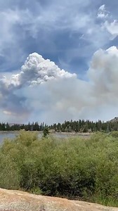 4.9K views · 52 reactions | TAMARACK FIRE UPDATE: Alpine County...