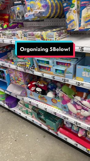 Organizing Sensory Fidget Toys at 5 Below
