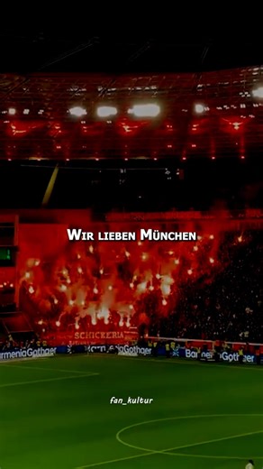 Bayern München! Wenn ich nachts nicht schlafen kann! Fangesang Edit mit Text! 🔴⚪💪#fcbayern