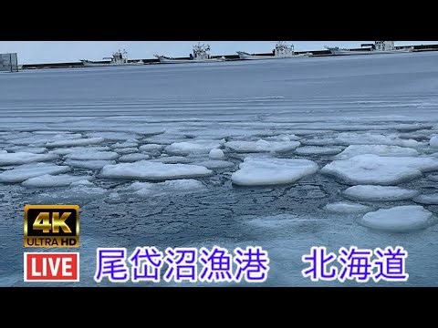 ライブカメラ 別海町 北海道 Live Cam BETSUKAI Hokkaido