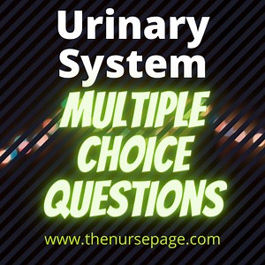 Urinary System Questions and Answers - The Nurse Page