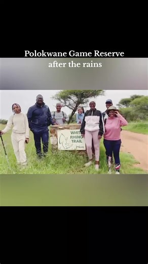 Exploring Polokwane Game Reserve: A Nature Lover's Haven