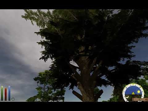 Daggerfall Unity 2020 with 3D trees, BEAUTIFUL!