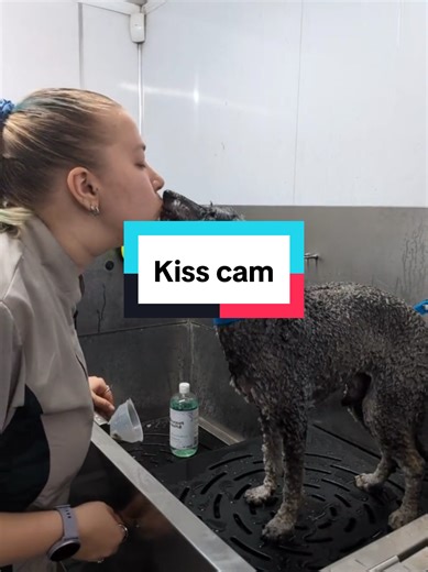Heartwarming Dog Kisses During Grooming Sessions