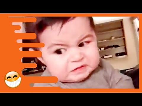 Try Not to Laugh with Funniest Angry Baby - Funny Baby Videos