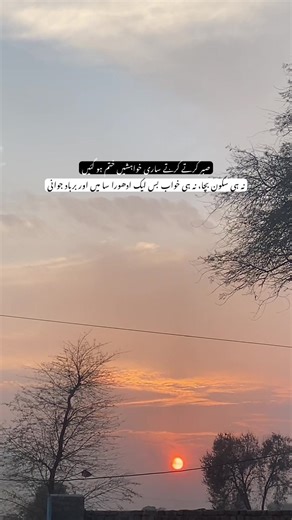 Endless Patience and Lost Dreams in Poetry