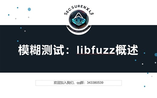 模糊测试：libfuzz概述