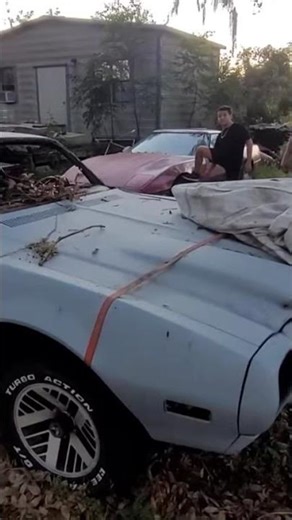 FIREBIRD FORMULA PROJECT