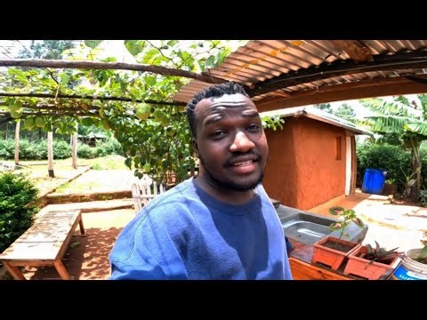 Farm Vlog 🏡| Solar Power maintenance 🔌