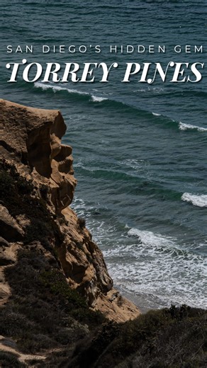 3 comments | Hiking Torrey Pines has its perks. Rack up those steps, catch views, and remember why you’re in San Diego. 欄 #torreypines #explroesandiego #sandiego #torreypineshike #explorecalifornia | Jon Matthews | Facebook
