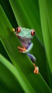 2.3K reactions · 32 shares |  Upgrade Blurry Pics in Seconds! ️ | WePic AI Photo Editor | Facebook