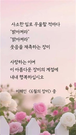 행복하십시오... 이해인 "6월의 장미" #이해인 #명언 #좋은글 #인생명언 #이해인수녀님