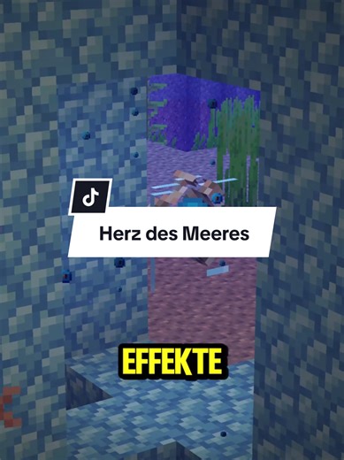 Aquisator: Ein Must-Have für Minecraft-Spieler