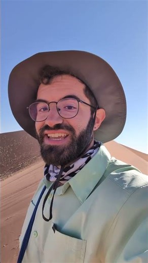 All this for some dead trees...