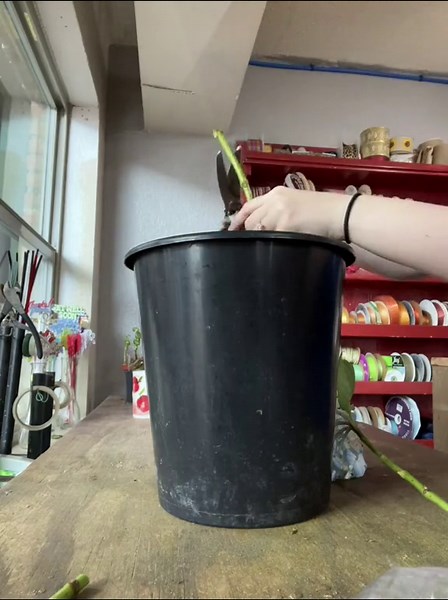 Your hydrangeas aren’t dead.. they’re thirsty. Heres how to properly care for a droopy thirty hydrangea.. #florist #floristsoftiktok #floristeria #flowershower #flowers #flowers🌼🍁🌸 #floristoftiktok #flowercare #flowercaretip #hydrangea #hydrangeas✿