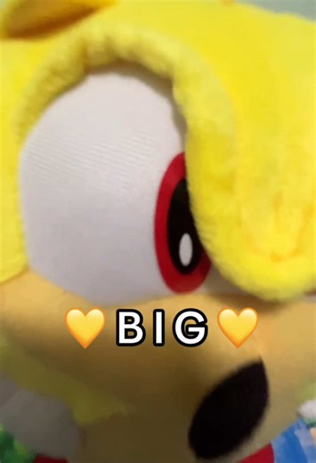 Amy loves all forms of Sonic #sonic #sonicthehedgehog #toys #collection #sega