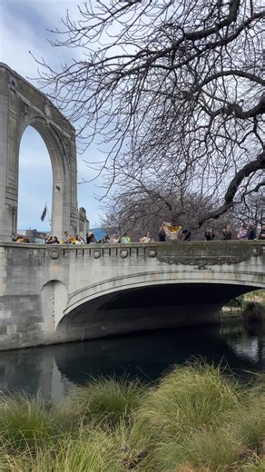 The Christchurch ANZ Duck Race on Daffodil Day helps raise funds for the Cancer Society, supporting those affected and moving us closer to a future free from cancer 🌼🦆 A heartfelt thank you to @anzaotearoa for being a major sponsor of Daffodil Day and helping make this impact possible 💙 #daffodildaynz #cancersocietynz | Cancer Society Southern