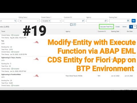 Modify Entity with Execute Function using ABAP EML for Fiori App behavior definition on BTP Cloud.