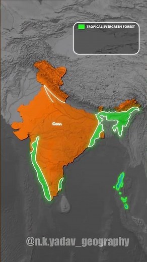 Types of Forests in India: Geography Explained