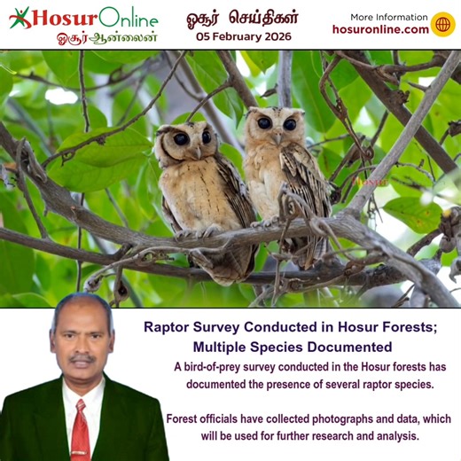 A survey of birds of prey living in the forests around Hosur was recently conducted by the Tamil Nadu Forest Department. According to the survey findings, photographic records and data of several raptor species were collected from the Hosur forest division. These include owls, hawk-eagles, harriers, fish eagles, and crested serpent eagles. The collected data has been submitted for further scientific analysis. #Hosur #WildlifeSurvey #BirdsOfPrey #ForestDepartment #Environment #TamilNadu | HosurOn
