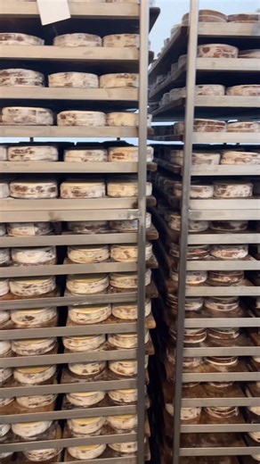 Rush Creek Reserve is back for the season! One of only two cheeses made by the highly regarded Uplands Cheese Company in Wisconsin, this once-a-year selection relies entirely on timing. When their herd’s diet transitions from summer pastures to hay, the milk becomes richer, perfect for this custardy, spoonable masterpiece. Each round is wrapped in spruce bark, imbuing the paste with woodsy notes. The quality is unmatched because the care behind it is unmatched. If you've been waiting all year fo