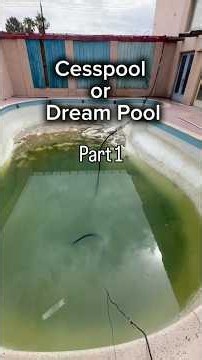 Cesspool or Dream Pool? (Part 1)