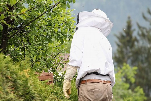▷7 Best Beekeeping Veils And Hats To Prevent Stings