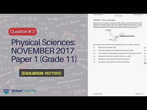 EQUILIBRIUM VECTORS | November 2017: Physical Sciences Paper 1 Question 2 (Grade 11)