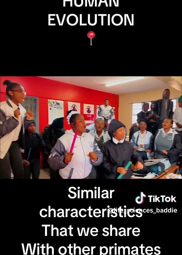 Exploring Human Evolution Similarities with Primates