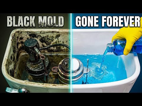 Black Mold in Toilet Tank? This ONE Trick Removes It Permanently — No Scrubbing, Hidden Parts Too!