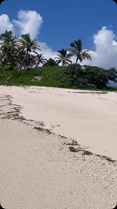 📍Tau Island The Kingdom of Tonga #paradise #beautifulthings #tongatourism #kingdomoftonga #tahitonga #marinetours #snorkelling | Tahi Tonga