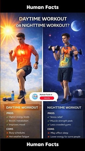 Morning vs Night Workout: What’s Best for Your Body? 💪☀️🌙