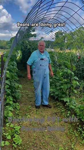 To wet to work in the garden , bean panels are looking great, what kind of beans do you grow ? We appreciate y’all 😊 | Gardening 101 with Farmer Mike