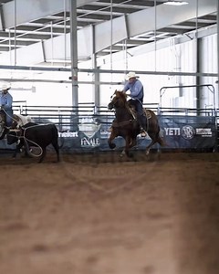 The Ariat World Series of Team Roping’s 𝐓𝐢𝐭𝐥𝐞 𝐅𝐢𝐠𝐡𝐭𝐬 are back—and streaming 𝐥𝐢𝐯𝐞 𝐨𝐧 𝐑𝐨𝐩𝐢𝐧𝐠.𝐜𝐨𝐦 from 𝐒𝐞𝐩𝐭𝐞𝐦𝐛𝐞𝐫 𝟏𝟖–𝟐𝟏. Plus, catch the All Girl Open Team Roping on Friday, September 19. 📍 Abilene, TX 📅 September 18–21 🎥 Live only on Roping.com | Roping.com
