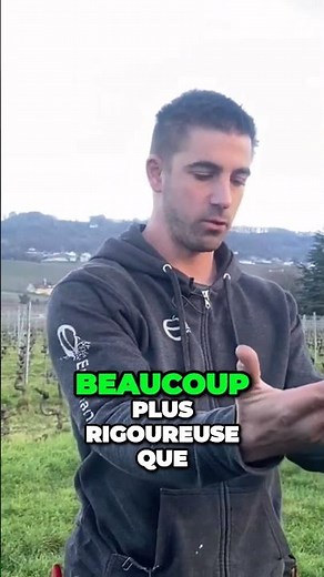 Comment équilibrer la coupe du cerisier