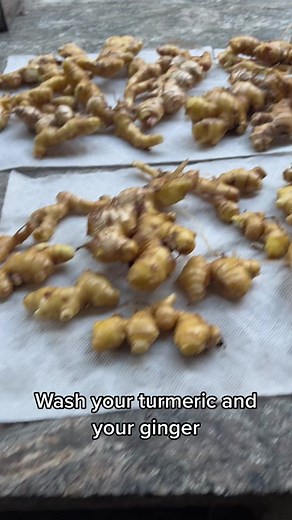 Prepping your ginger and turmeric for storage