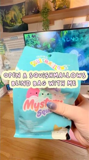 Opening a blind bag from Barnes & Noble- Squishmallows! #blindbag