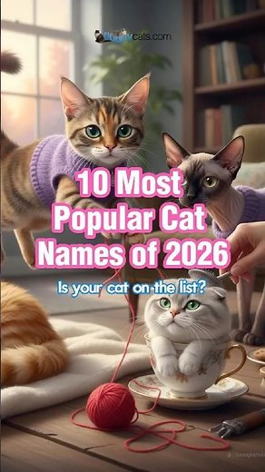 2026 Cat Parents Have a Clear Favorite! Cat Names