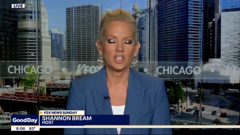 Shannon Bream talks DNC, Trump's border trips