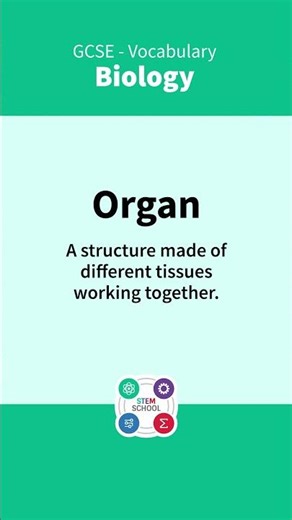GCSE Biology Vocabulary - 2. #exam #edexcel #biology #aqa #ocr #gcse #gcsebiology